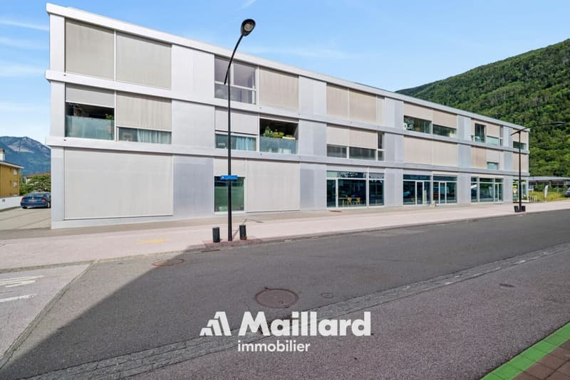 Magnifique appartement à Martigny (14)