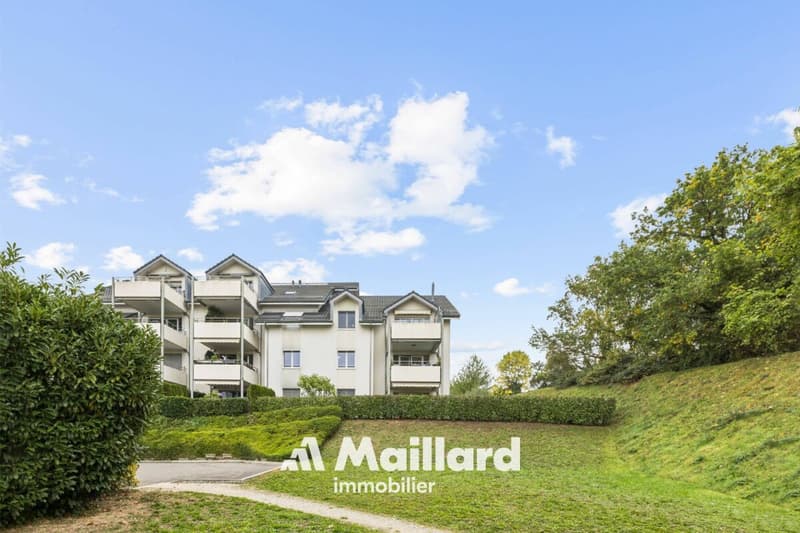 Yverdon - Superbe appartement de 5,5 pièces (15)