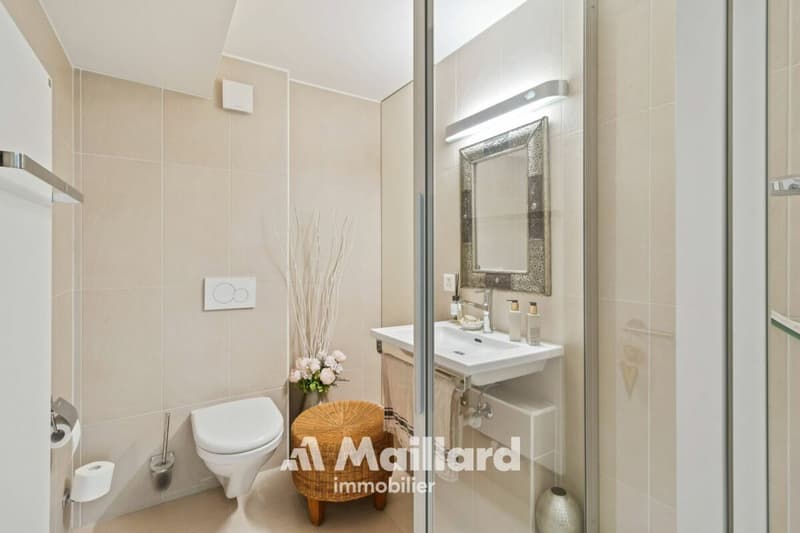 Villa indiviudelle de 7.5 pièces avec studio indépendant (13)