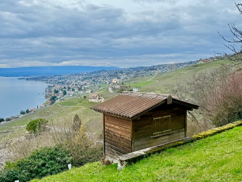 Maison à rénover et agrandir, panoramique sur le lac et les vignes (13)