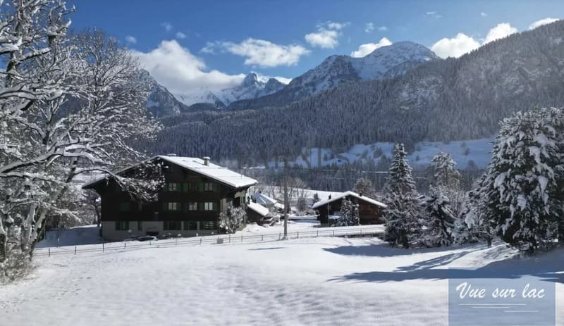 Your chalet in the Oberland Bernois, the magic of Switzerland (13)