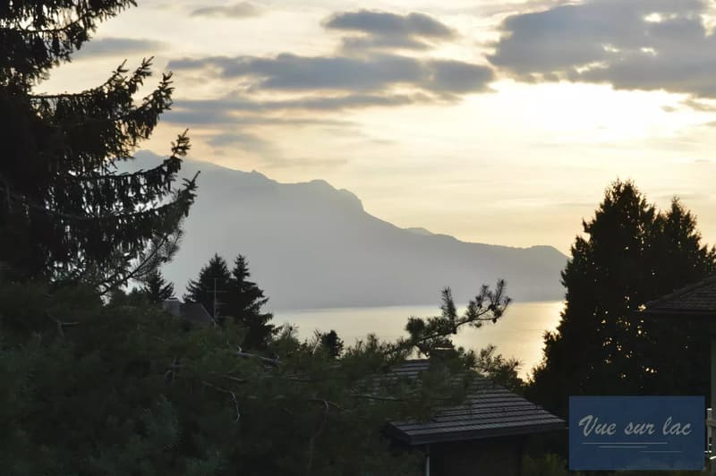 Casa familiare degli anni '60, con vista sul lago. (11)