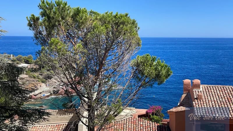 Summer vacation with your feet in the water, apartment in a private residence (4)