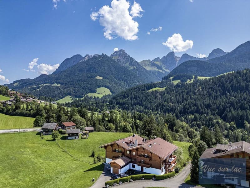 Sublime appartement de luxe et panoramique à quelques minutes de Gstaad (9)