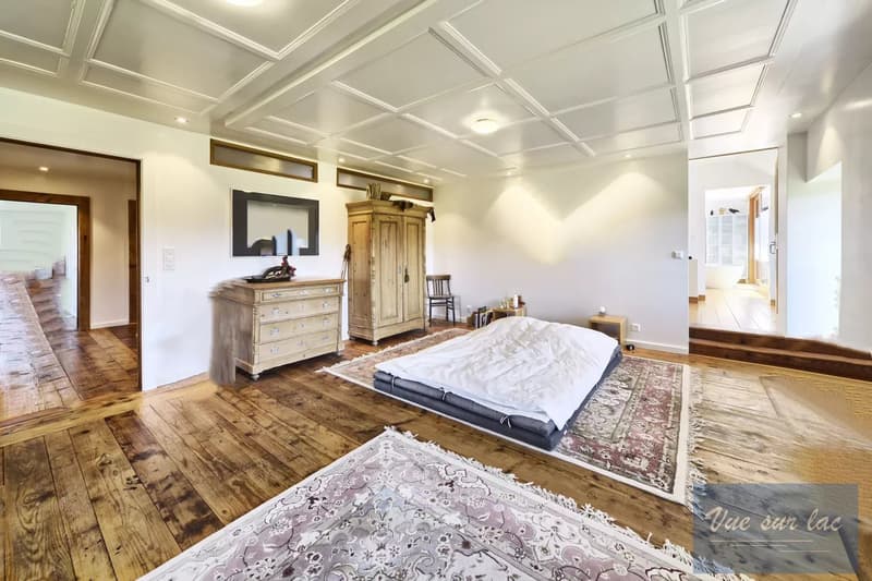 Magnificently renovated farm, with 2 horse boxes (13)