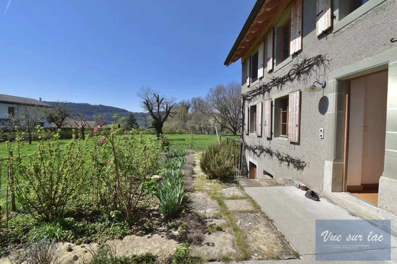 Magnificently renovated farm, with 2 horse boxes (3)