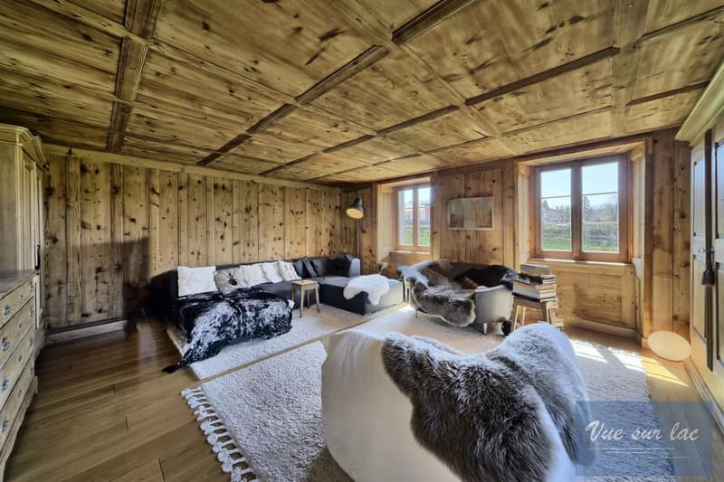 Magnificently renovated farm, with 2 horse boxes (7)