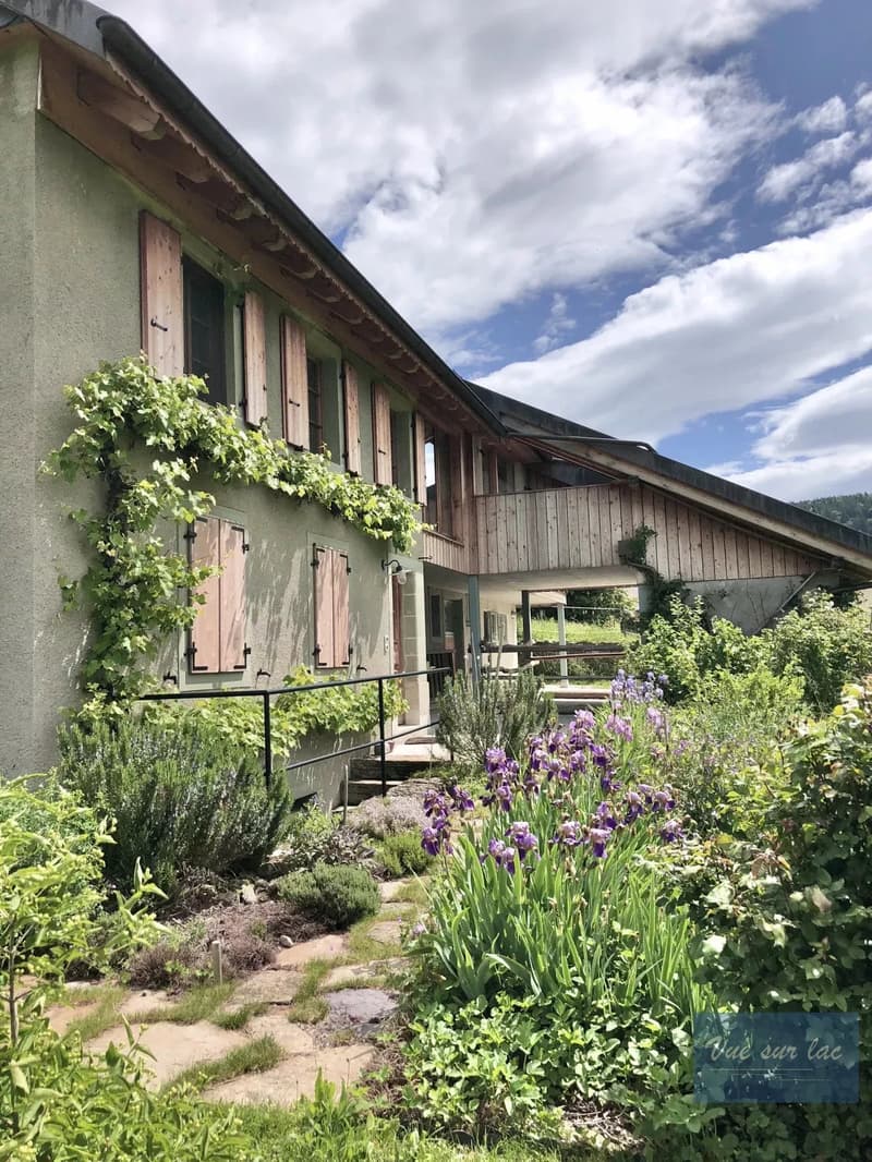 Magnificently renovated farm, with 2 horse boxes (5)