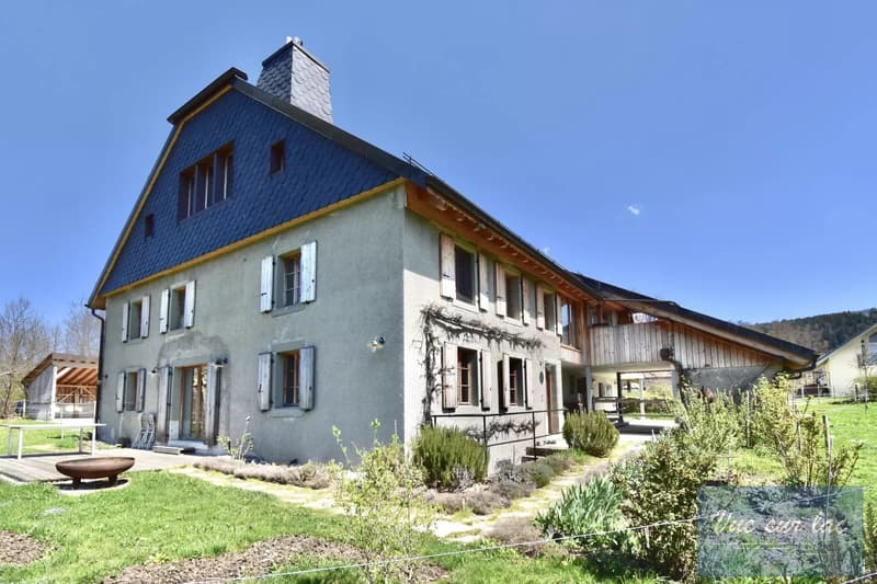 Magnificently renovated farm, with 2 horse boxes (1)