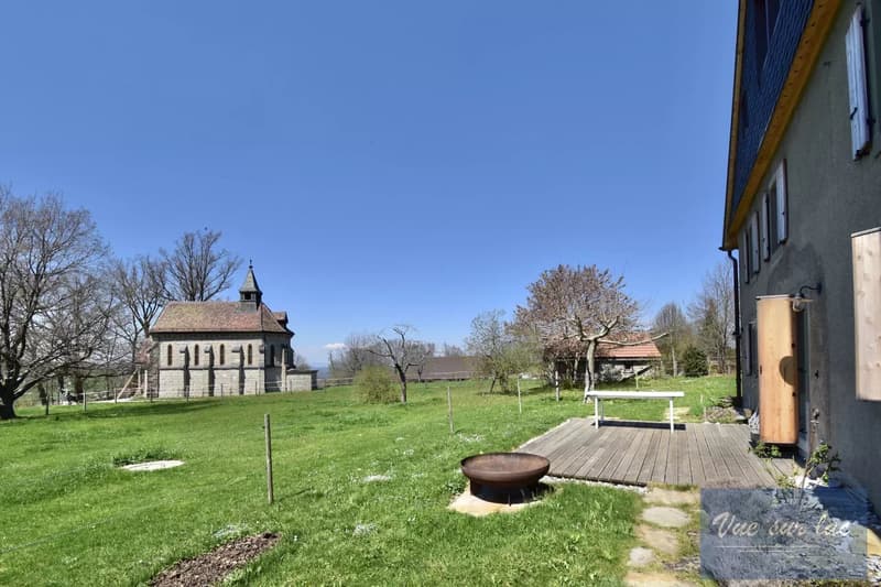 Magnificently renovated farm, with 2 horse boxes (4)