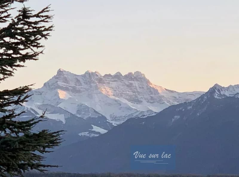 Superbo appartamento arredato sul lungolago, nel centro di Montreux (13)