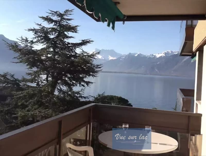 Superbo appartamento arredato sul lungolago, nel centro di Montreux (11)
