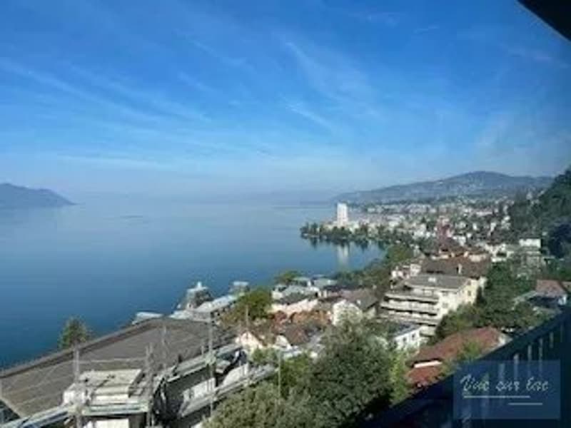 Duplex panoramico, ideale per stranieri (2)