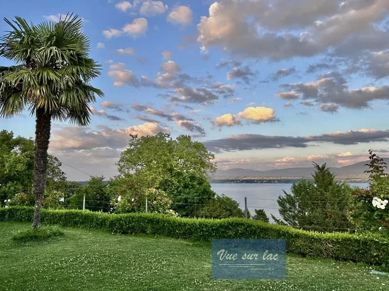 Penthouse di lusso a Tannay, con vista sul lago di Ginevra e le Alpi (2)