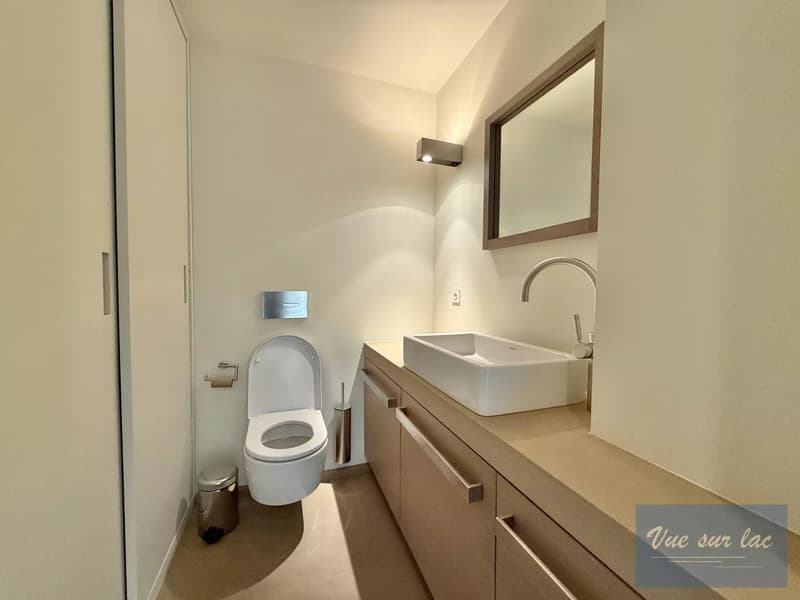 Penthouse di lusso a Tannay, con vista sul lago di Ginevra e le Alpi (11)