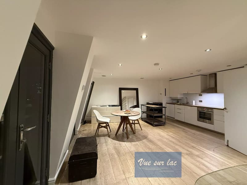Modern 1 bedroom furnished apartment in the heart of London (3)