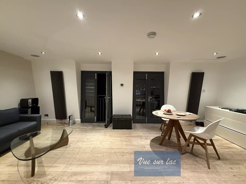 Modern 1 bedroom furnished apartment in the heart of London (2)