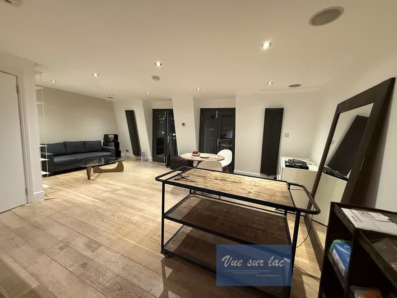 Modern 1 bedroom furnished apartment in the heart of London (4)