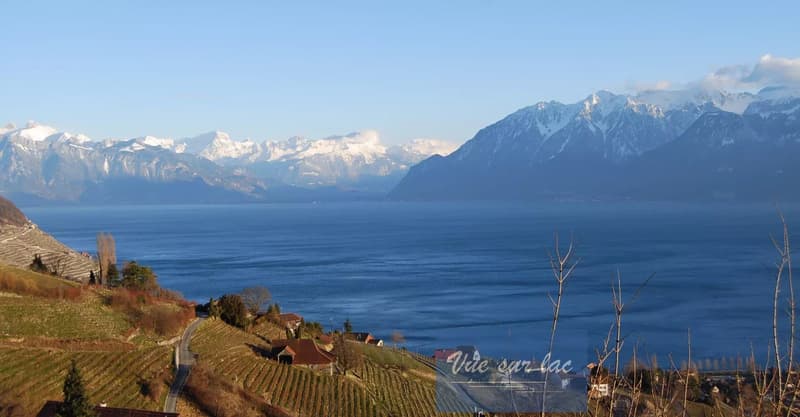 Appartamento moderno con vista spettacolare a Lavaux (12)