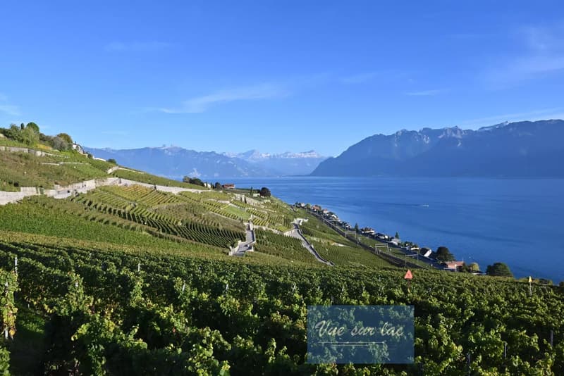 Appartamento moderno con vista spettacolare a Lavaux (13)