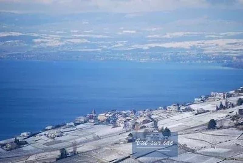 Appartamento moderno con vista spettacolare a Lavaux (11)
