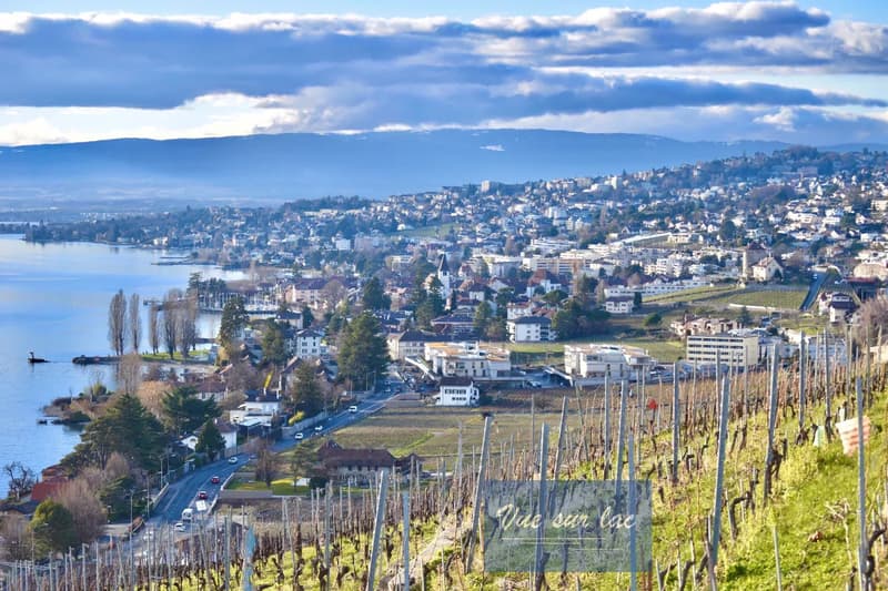 Appartamento moderno con vista spettacolare a Lavaux (3)