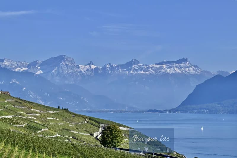 Appartamento moderno con vista spettacolare a Lavaux (4)