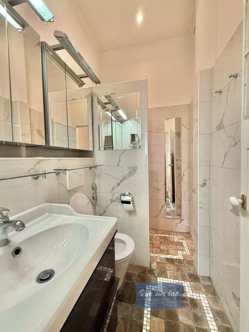 Charming Apartment in Montreux with Breathtaking Views (13)