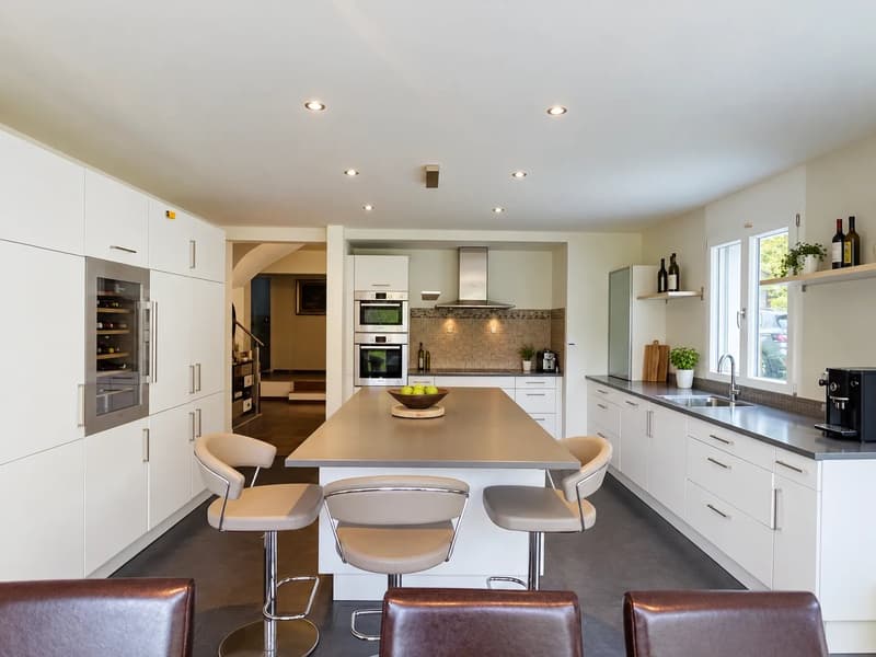 Villa individuelle contemporaine sur belle et grande parcelle (3)