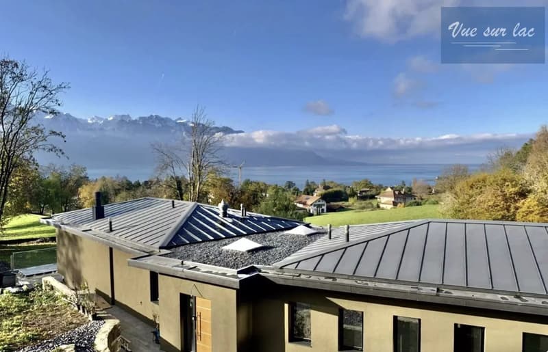 Modern exceptional villa with panoramic view. (3)