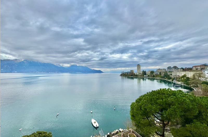 Luxury Apartment in Territet with Breathtaking View (1)