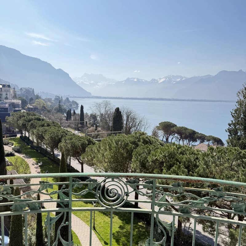 Luxury Apartment in Territet with Breathtaking View (5)