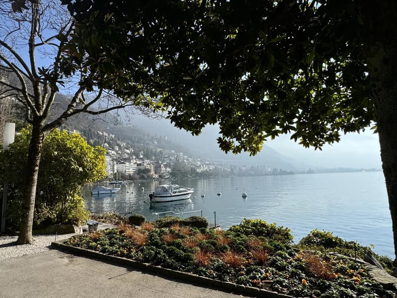 Luxury Apartment in Territet with Breathtaking View (4)