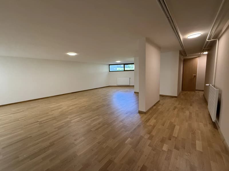 Grand espace de vie au rez-inférieur