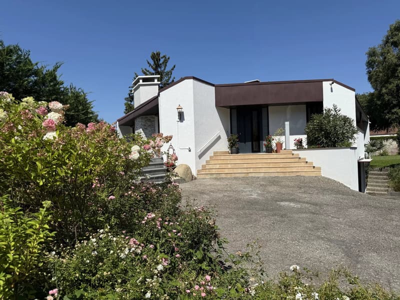 Villa di lusso a Vessy con vista campagna e piscina (1)