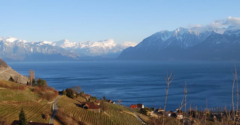 Modern apartment with spectacular views in Lavaux (12)