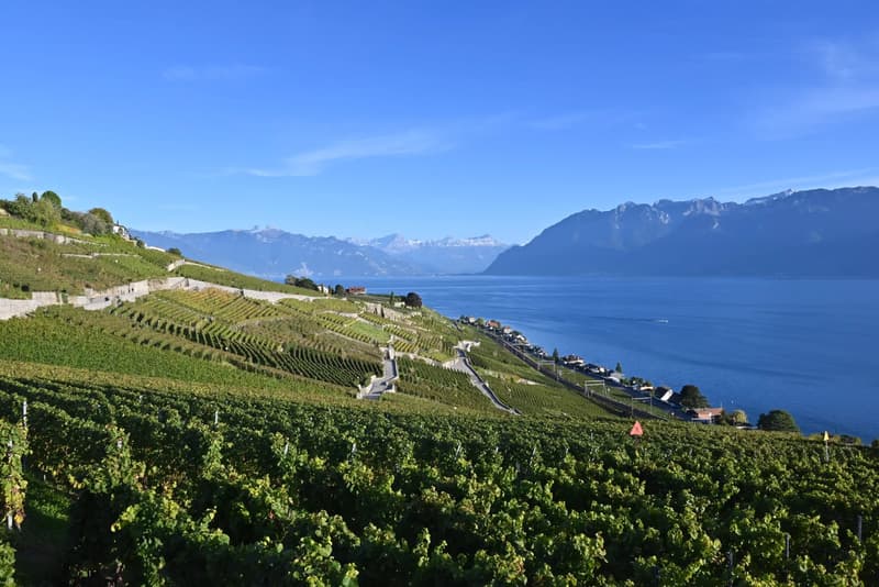 Modern apartment with spectacular views in Lavaux (13)