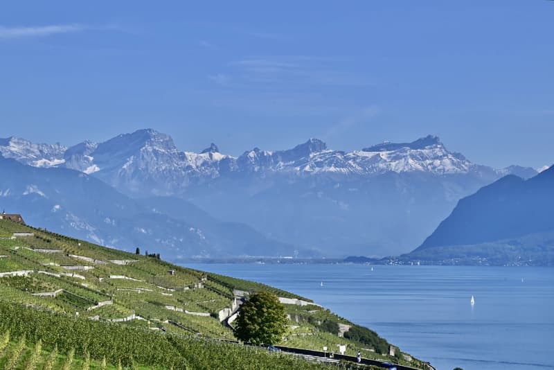 Modern apartment with spectacular views in Lavaux (4)