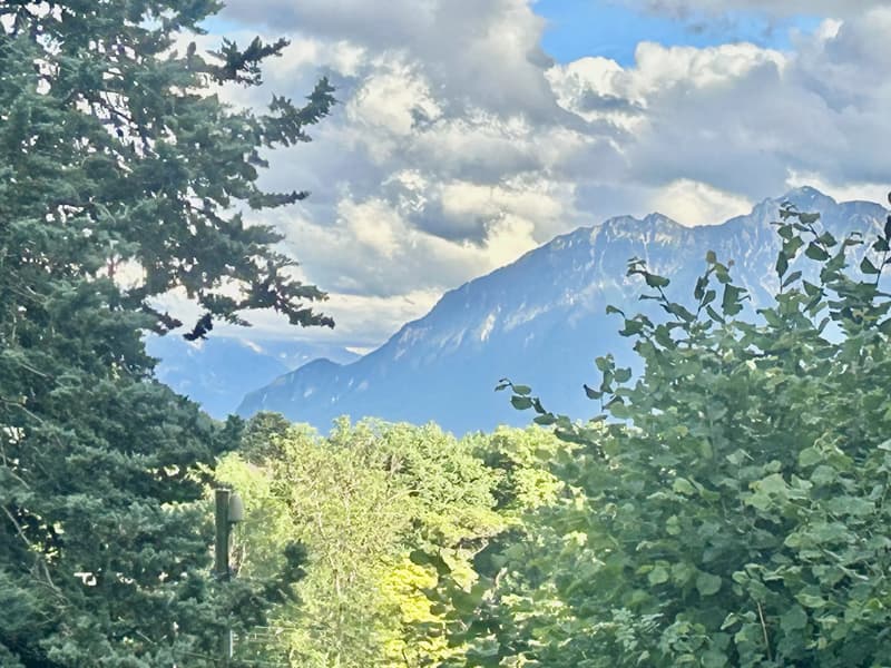 Appartamento nuovo a Lutry con giardino (2)