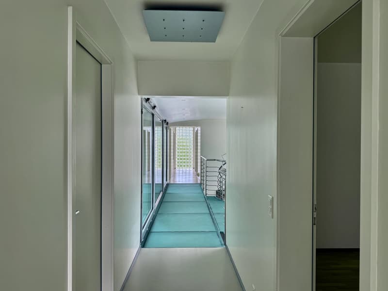 Große zeitgenössische Villa von 500m², Pool, ruhig, Blick auf den Jura (12)