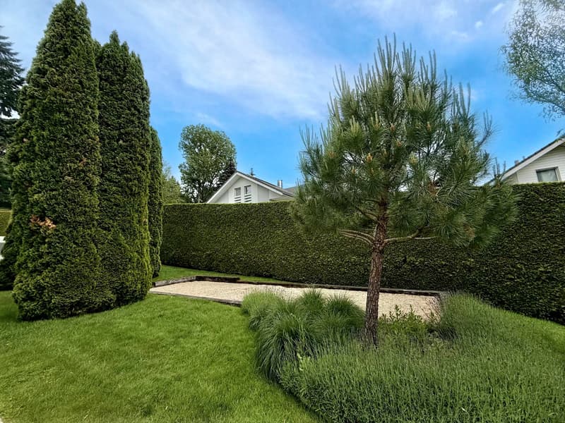 Große zeitgenössische Villa von 500m², Pool, ruhig, Blick auf den Jura (4)