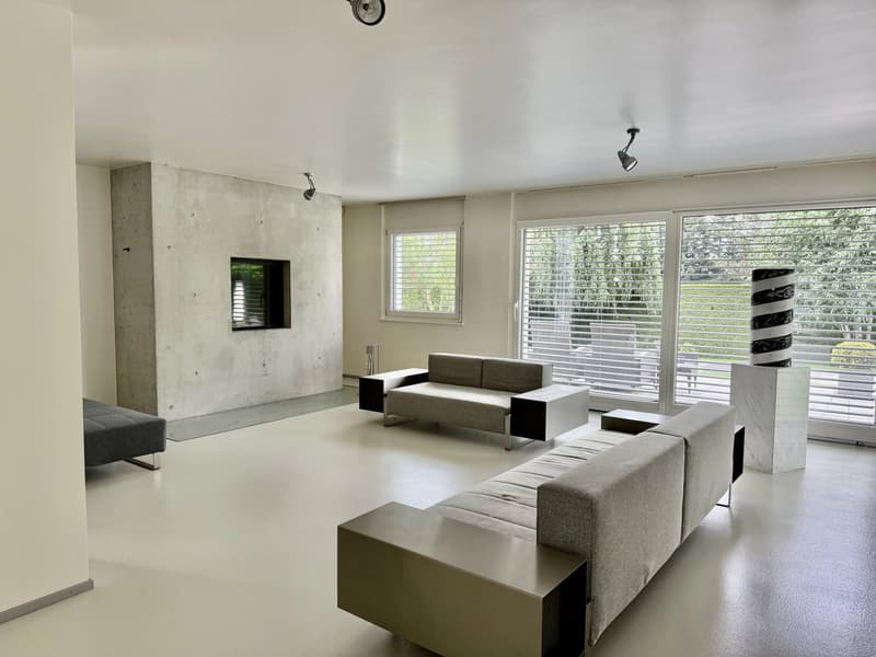 Große zeitgenössische Villa von 500m², Pool, ruhig, Blick auf den Jura (6)