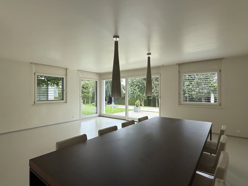 Große zeitgenössische Villa von 500m², Pool, ruhig, Blick auf den Jura (7)