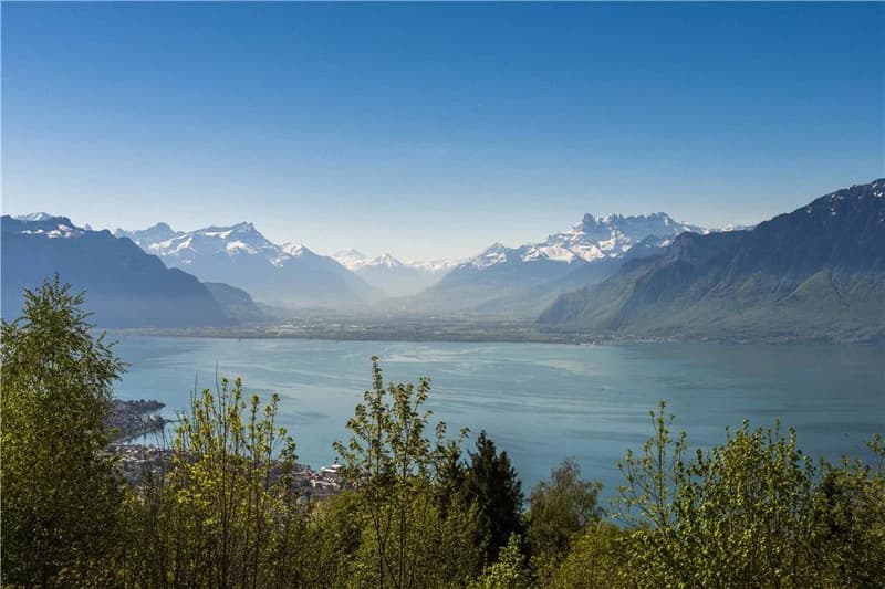 SELTEN. Panoramawohnung ohne Lärmbelästigung! (5)