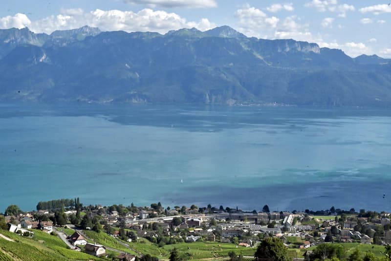 SELTEN. Panoramawohnung ohne Lärmbelästigung! (1)