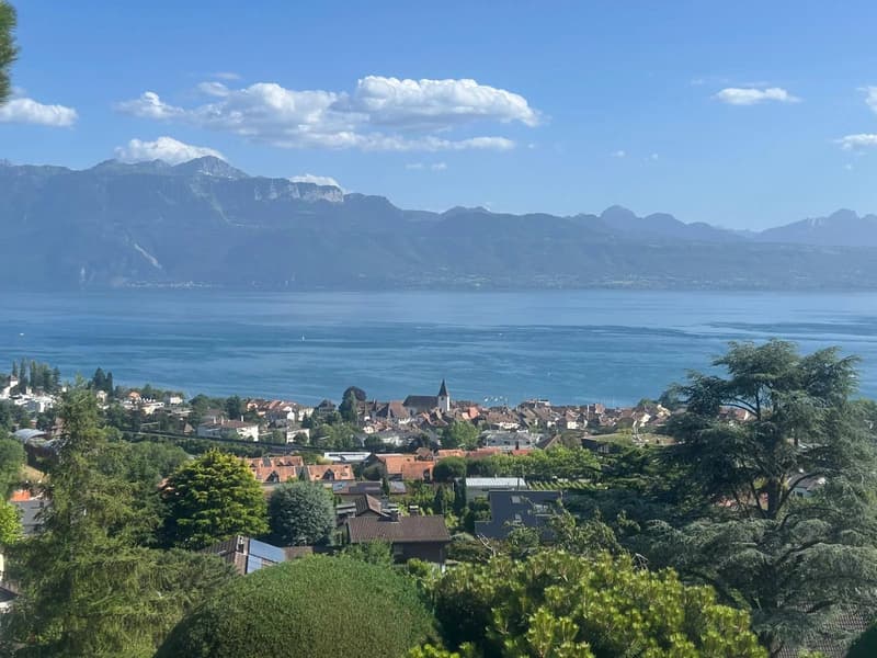 Le lac, les vignes et Lutry à vos pieds! (1)