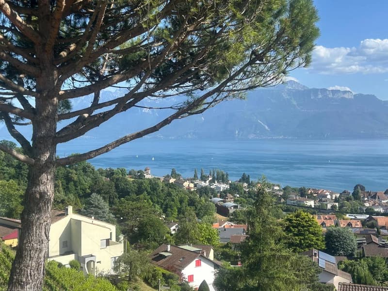 Le lac, les vignes et Lutry à vos pieds! (5)