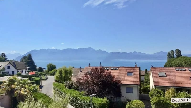 Superbe duplex moderne avec jardin et vue sur le lac (3)