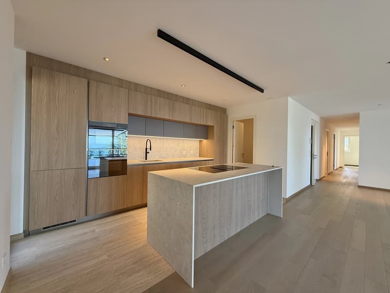 Dernier appartement disponible  avec magnifique vue sur lac et les Alpes (4)
