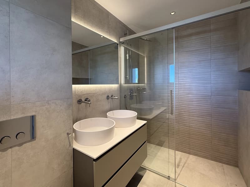 Dernier appartement disponible  avec magnifique vue sur lac et les Alpes (12)